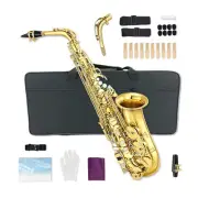 Glod Eb flat Alto Saxophone Kit with 10 Reeds ,8 Pads Cushions,For Beginner