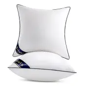 "x" Pillow Inserts Set of DecorativePillow Inserts-Square 22"x22" ,2Pack 2