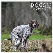 Dog Pooping Calendar 2021, Funny Gift, White Elephant, Gag Gift, Secret Santa