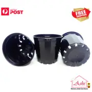 70mm New Gen.Squat Plastic Pot 1200 Pack for Propagation , Succulent , Cactus