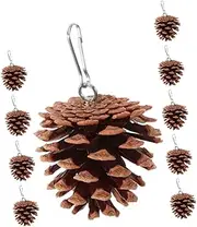 10pcs Parrot Aviary Parrot Cage Stand Parakeet Chewing Cages Budgie Cockatiel Bird Stand Kit Macaw Play Bird Feeder Hamster Skewer Plaything Feeder Rat Coffee Pine Cones