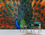 3D Peacock Feather O431 Animal Wallpaper Wall Murals Removable Wallpaper Fay