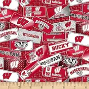 Sykel Enterprises NCAA Wisconsin Badgers License Plate Cotton Multi Fabric