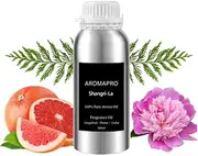 AROMAPRO 100% Pure Aroma Oil – Luxury Citrus Floral Scent Inspired by Shangri-La Hotels – Orange, Peony, Cedar & Powdery Notes – Uplifting & Elegant Fragrance Oil (500 ml, Shangri-La (Inspired by Shangri-La Hotel))