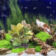 Artificial Water Plants Aquarium Decor Fake Reptile Tank Decorations