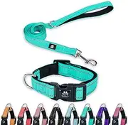 FURRYFECTION Reflective Dog Collar and Leash Set with Quick Release Buckle, Padded with Neoprene Adjustable Nylon Dog Collar for Small Medium and Large Dogs (Medium Collar+5FT Leash, Teal)