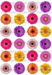 24 x Bright GERBERA Flowers Cupcake Toppers Edible Wafer Paper FLORAL Cake
