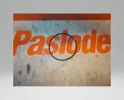 Paslode 401950 O RING(5000S,5000C)