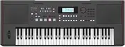 Roland E-X50 Electronic Arranger Keyboard – Easy-to-use | Stereo Speakers | Bluetooth | Professional Roland Sounds | Mic Input | Auto-accompaniment Function, Black