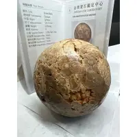 在飛比找蝦皮購物優惠-D9537 收藏品 天然泰國龍宮舍利原礦 老料 靈骨舍利 附