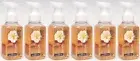 6 Bath & Body Works WARM VANILLA SUGAR Gentle Foaming Hand Soap Wash RARE