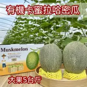 【友田珍鄉】有機精品級卡蜜拉哈密瓜大果雙入禮盒(5台斤/盒)