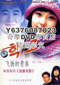 在飛比找Yahoo!奇摩拍賣優惠-DVD影片專賣 韓劇 飛揚的青春 盒裝 2碟 安在模 裴鬥娜