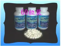 在飛比找Yahoo!奇摩拍賣優惠-６０粒複方乳酸菌【含１０種益生菌】+３種酵素+木寡醣+菊糖+