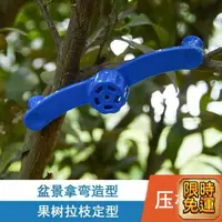 在飛比找蝦皮購物優惠-AA 熱賣 樹枝開角壓枝器 盆景造型器 果樹定型器 園藝工具