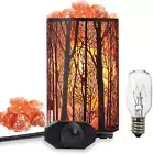Salt Lamps, Natural Himalayan Salt Lamp, Forest Salt Lamp with Dimmer Switch, Sa