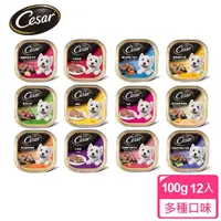 在飛比找momo購物網優惠-【Cesar西莎】精緻/風味餐盒 100g*12入(寵物/狗