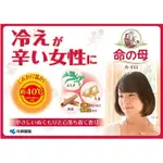 現貨 日本暖暖包 命之母  漢方暖暖包 日本製 生薑 肉桂 艾草 保證在台灣快速發送 小林製藥 桐灰