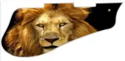 Pickguard Pick Guard 5120 Graphical Graphic Guitar Lion 2