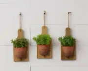 New French Country Farmhouse Rustic 3 GREEN PLANT HERB Pot Wall Hanging Hooks