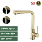 Kitchen Sink Mixer Taps Brushed Gold with Pull Out Spout Laundry Mixer Tap