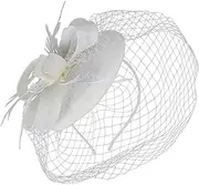 [FRCOLOR] Mesh Fascinator Headband with Veil Elegant Tea Party Hat and Banquet Headdress for Special Occasions Versatile Hair Clip Accessory for Weddings and Events