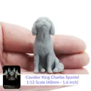 Cavalier King Charles Spaniel - 1:12 Scale miniature dog by Stereocat (1 dog)
