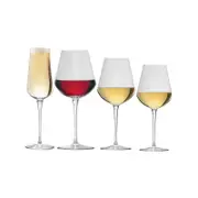 Bormioli Rocco Inalto Uno S / M / L Wine Glasses & Champagne Flute - Set of 24