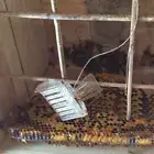 1pc Plastic Queen Cage Clip Bee Catcher Beekeeper Beekeeping Tool Equipme&GI