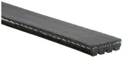 Serpentine Belt for Audi A4, A4 Quattro, Fiat Palio, Porsche 928, Subaru (for: Audi)