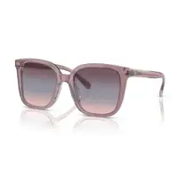 在飛比找ETMall東森購物網優惠-【COACH】時尚膠框太陽眼鏡(HC8381F-57820J