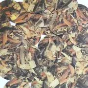 Sequin Round 1.5" Orange Gold Bird Feathers Print Metallic