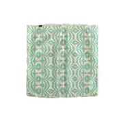 Penny Mint Fringed Cotton Cushion Cover 43 x 43cm