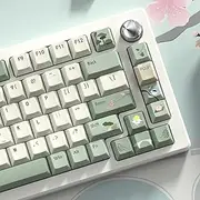 dagaladoo PBT Keycaps,Matcha Green keycaps 60% 65% 100%, Spring Tea Custom Keycap, Cherry Profile Keyboard Key caps for 60% 65% 75% 100% TKL US Layout Mechanical Keyboard（134keys