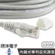 ※ 欣洋電子 ※ Twinnet Cat.6高速網路線 100M / 100米 附測試報告(含頭) 台灣製造(02-01-2100) RJ45 8P8C