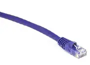 50 PACK LOT 5FT CAT6 Ethernet Patch Cable Purple RJ45 550Mhz UTP 1.5M