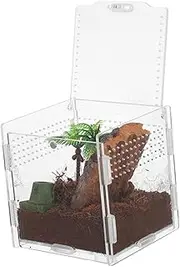 Milisten Transparent Box for Jumping Spiders Compact Non Capturing Terrarium Safe Secure Habitat for Insects Reptiles for Home Use