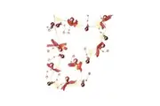 Goobay 10-LED 1.4m Photo Clip Fairy Lights Hanging Home Room Decoration Gift