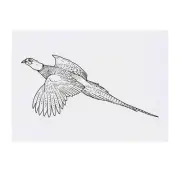 'Flying Pheasant' Temporary Tattoos / Transfers (TO00050140)