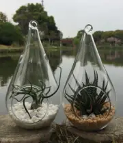 25 Bulk Pack of Hanging Clear Glass Tealight Candle Holder Tear Drop Pear Hour G