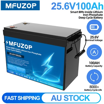 24V(25.6V) 100Ah Lithium Iron Battery LiFePO4 Deep Cycle 100A BMS RV Camping