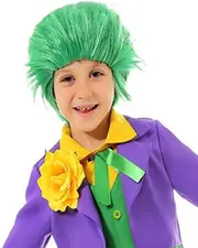 Green Child Joker Costume Wig