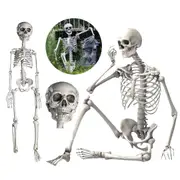 Full Body Model Halloween 90cm Human Skeleton Skull Medical Party House Props