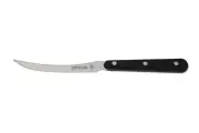 Kanetsune Seki Japan KC-093 Stainless 80mm Kitchen Cutlery Tomato Slicer Knife