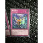 遊戲王 無限泡影金亮QCDB-JP059搜尋AFRCA OCG