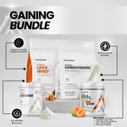 [Top Athlete] Gaining Bundle, Dutch Chocolate / Strawberry Watermelon / Unflavoured