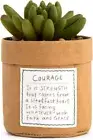 Demdaco Lori Siebert Fake Artificial Succulent Plant Home Decor Courage, New