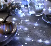 Bethlehem Lights S/4 Color Flip Fairy Lights with Remote Silver/White H260026