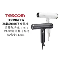 在飛比找PChome24h購物優惠-TESCOM TD880A 專業級負離子吹風機 超輕量 超風