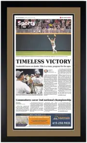 2019 Vanderbilt Commodores CWS Champs Matted & Framed Photo 17x28 B2